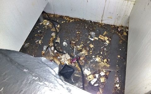 La suciedad acumulada hace fracasar cualquier tratamiento de desinsectación para eliminar cucarachas